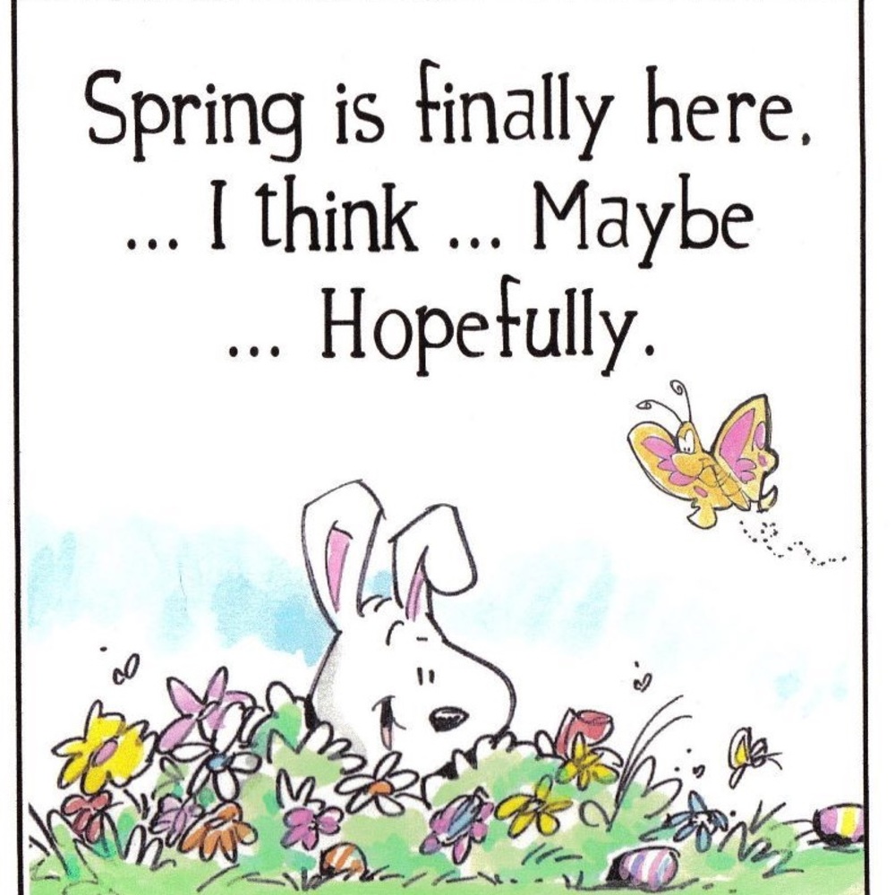 💐💐💐 SPRING SHARE GAME💐💐💐 - Picture 8 of 16
